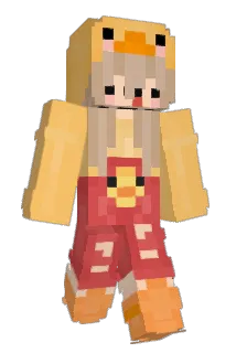 wtvf Minecraft avatar full body