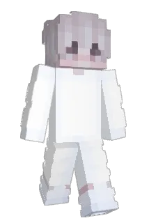 wveo Minecraft avatar full body