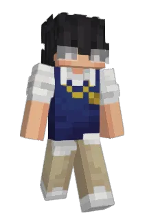 wxon Minecraft avatar full body