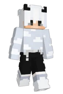 wxsted666 Minecraft avatar full body