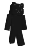 wyqtttt Minecraft avatar full body
