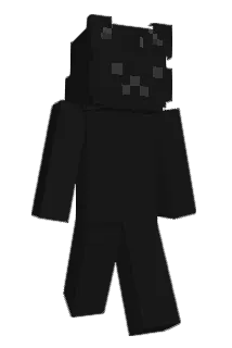 wyqtttt Minecraft avatar full body