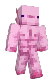 x1m3 Minecraft avatar full body