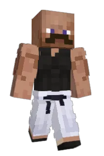 x1x1 Minecraft avatar full body