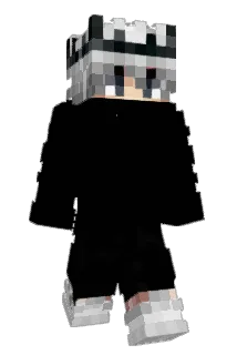 x20131410 Minecraft avatar full body