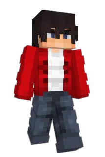 x242 Minecraft avatar full body
