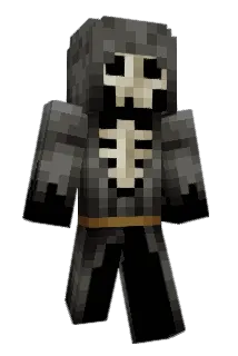 x292 Minecraft avatar full body