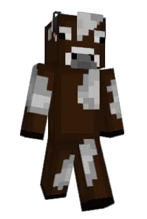 xAshical Minecraft avatar full body