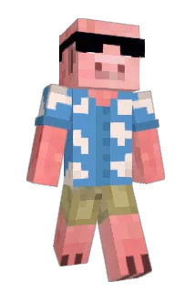 xCardor Minecraft avatar full body