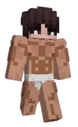 Custom render preview