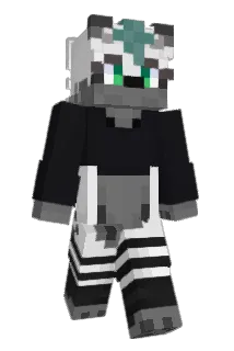 xDoges Minecraft avatar full body
