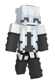 xFluidd Minecraft avatar full body