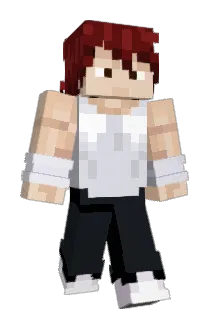 xHanseNx Minecraft avatar full body