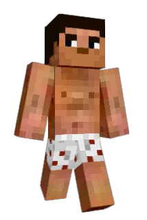 xIRayy Minecraft avatar full body