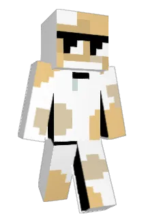 xIceball Minecraft avatar full body