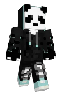 xRay099 Minecraft avatar full body