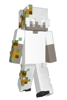 xSPecTeR_ Minecraft avatar full body