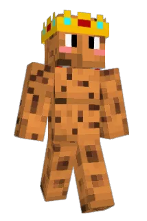 xSjors Minecraft avatar full body