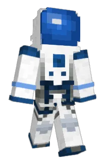 xSollix Minecraft avatar full body