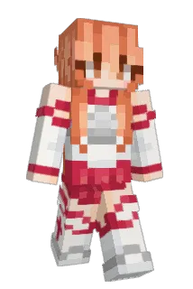 xXPaRaDiiZZ Minecraft avatar full body