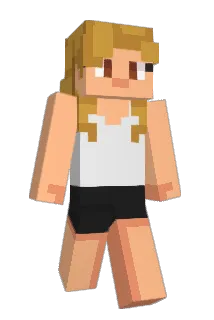 xacvl Minecraft avatar full body