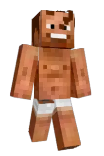 xamy Minecraft avatar full body
