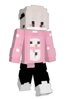 xcauvd Minecraft avatar full body