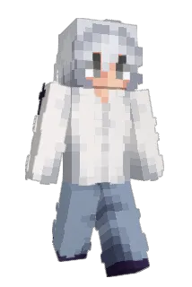 xchamp123zr Minecraft avatar full body