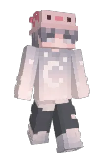 xddgkd Minecraft avatar full body