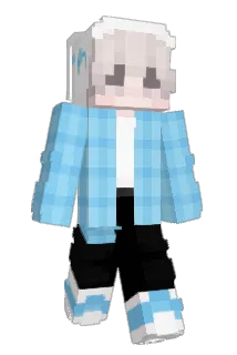 xelonel Minecraft avatar full body