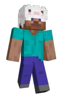 xepr Minecraft avatar full body