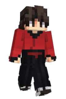 xiadanx Minecraft avatar full body