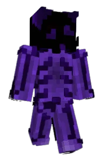 xinity_ Minecraft avatar full body