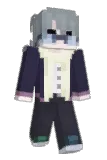 xm1773 Minecraft avatar full body