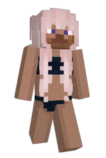 xoKayla Minecraft avatar full body