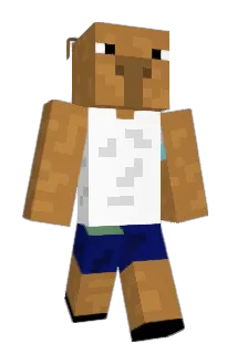 xooooooooooooo Minecraft avatar full body