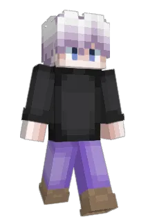xpolletex Minecraft avatar full body