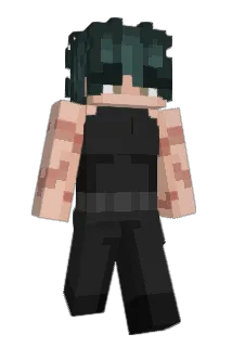 xsvmirv Minecraft avatar full body