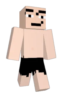 xvs6 Minecraft avatar full body