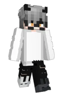 xxDumpoxx Minecraft avatar full body