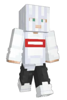 xxNPC Minecraft avatar full body