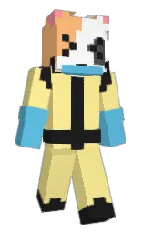 Custom render preview
