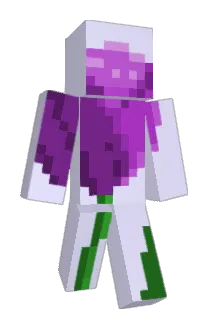 y444 Minecraft avatar full body