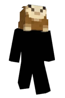 yLlamas Minecraft avatar full body