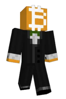 y_hl Minecraft avatar full body