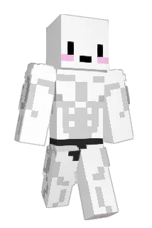 yayhiko Minecraft avatar full body