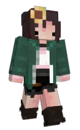 Custom render preview