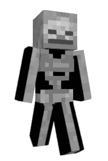 yinTD Minecraft avatar full body