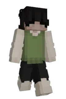 yk200P Minecraft avatar full body
