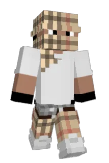 ykcolin Minecraft avatar full body